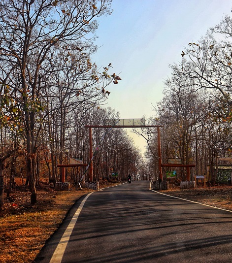 Aamod Villa Tiger safari - bor tiger reserve adegoan gate - pure veg