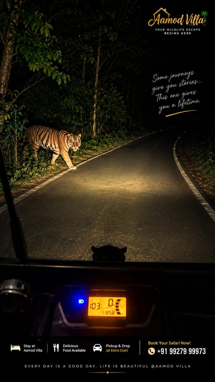Kundi - Aamod Villa Holiday Home Tiger safari - bor tiger reserve dhaga gate - pure veg - aamod villa holiday home